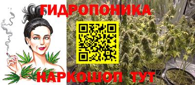 индика Азнакаево