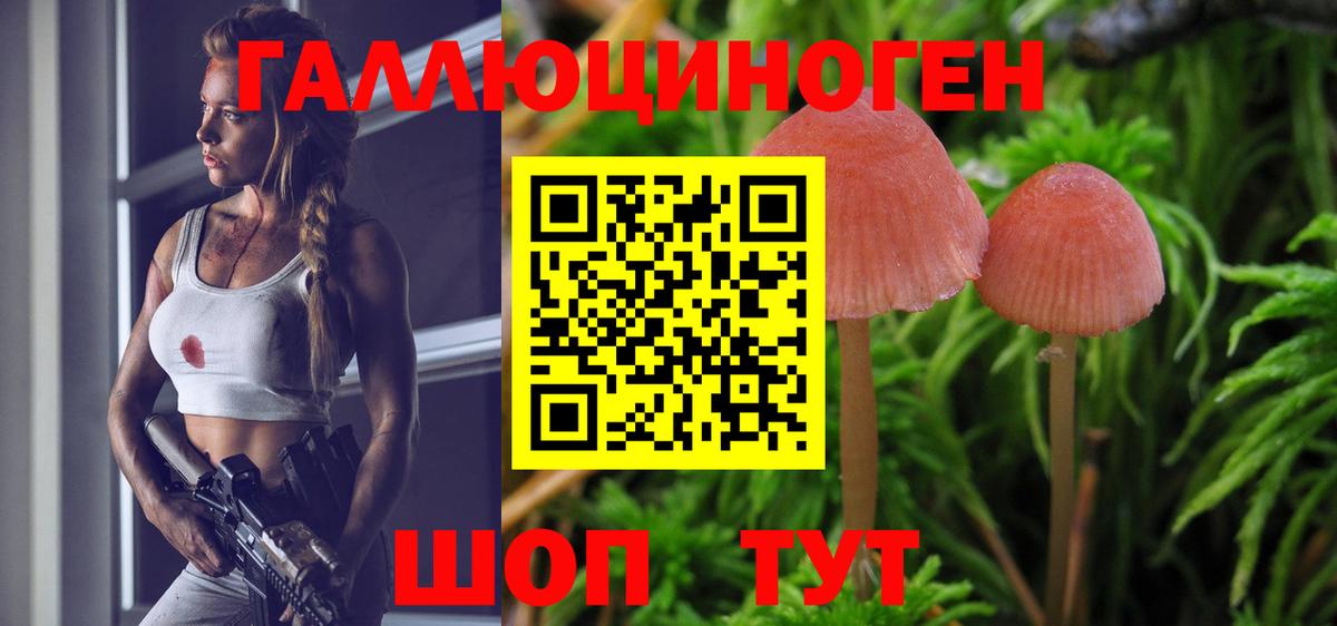 Алексеевка  Галлюциногенные грибы Magic Shrooms  Вход с VPN 